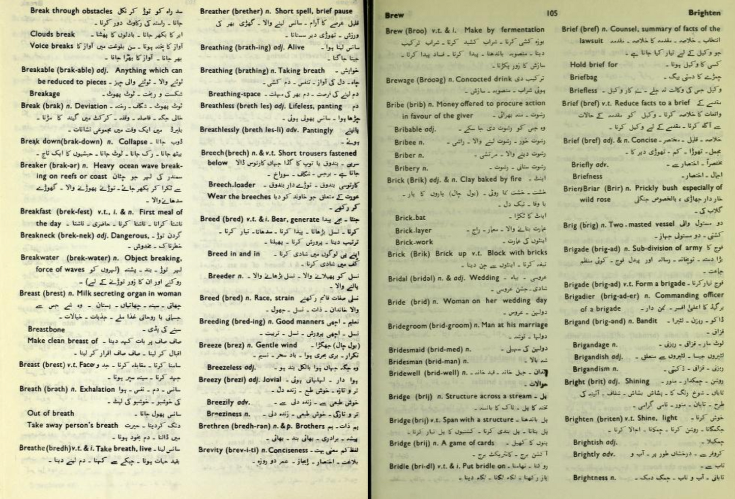 English to English and Urdu Dictionary