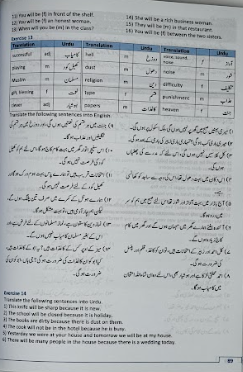 First Steps to Understanding Urdu