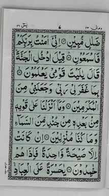 Surah Yasin & Mulk
