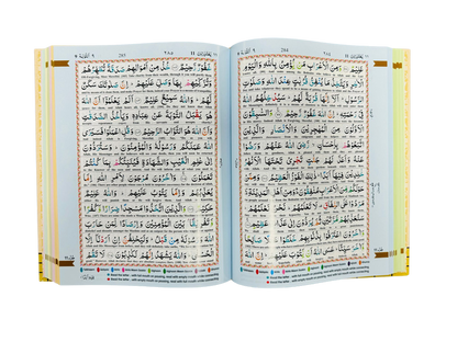 The Holy Quran Colour Coded Tajweed (13 Lines) With Arabic Text & English Translation