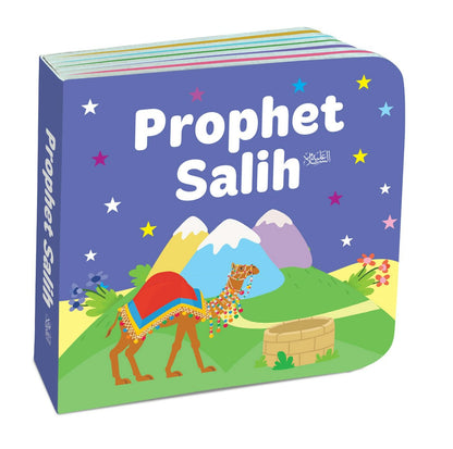 Book Block: My Little Library Quran Stories