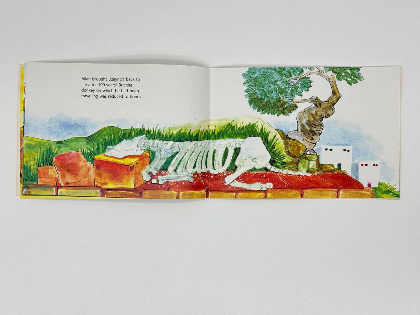 Uzayr's Donkey: Quran Stories for Little Hearts
