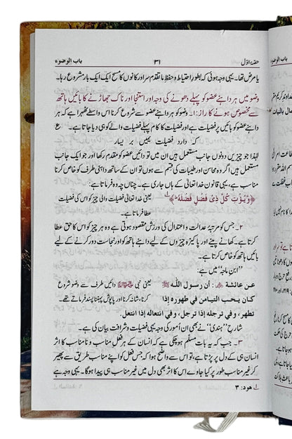 احکامِ اسلام عقل کی نظر میں (Ahkaam-e-Islam Aql Ki Nazar Mein)