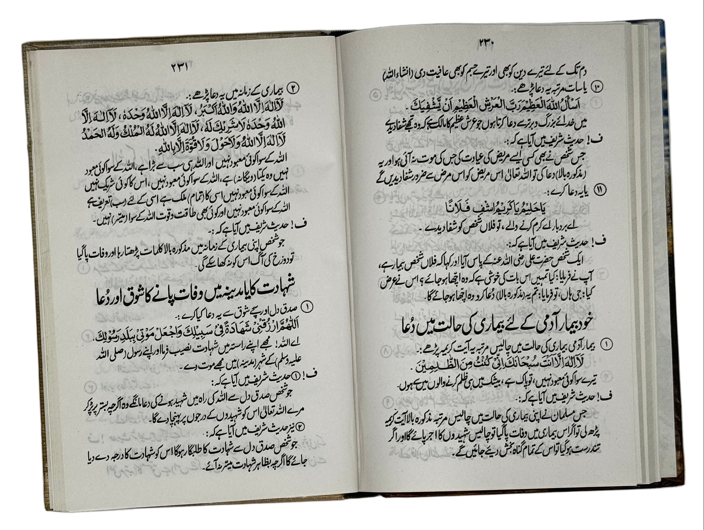 حصن حصین (Hisn‑e‑Haseen)