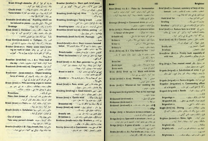 English to English and Urdu Dictionary