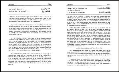 Quran Translation (Punjabi)