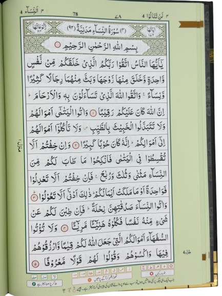 The Holy Quran (Color Coded Tajweed Rules)